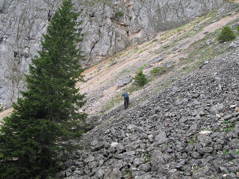 fronbachkogel